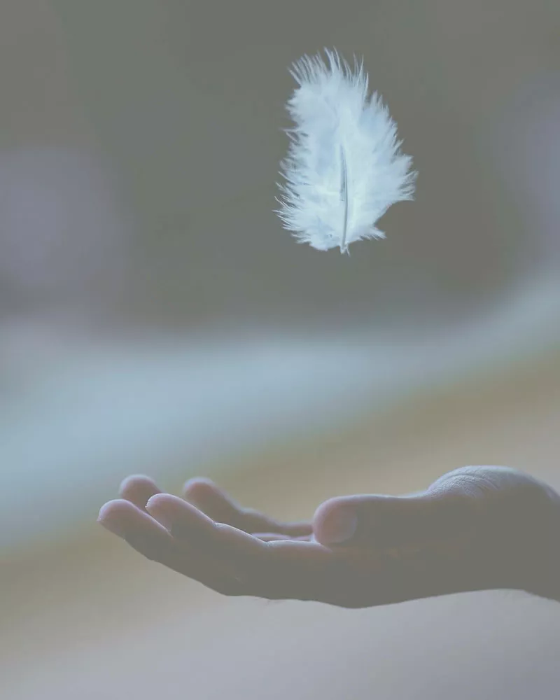 feather falling down into open hand